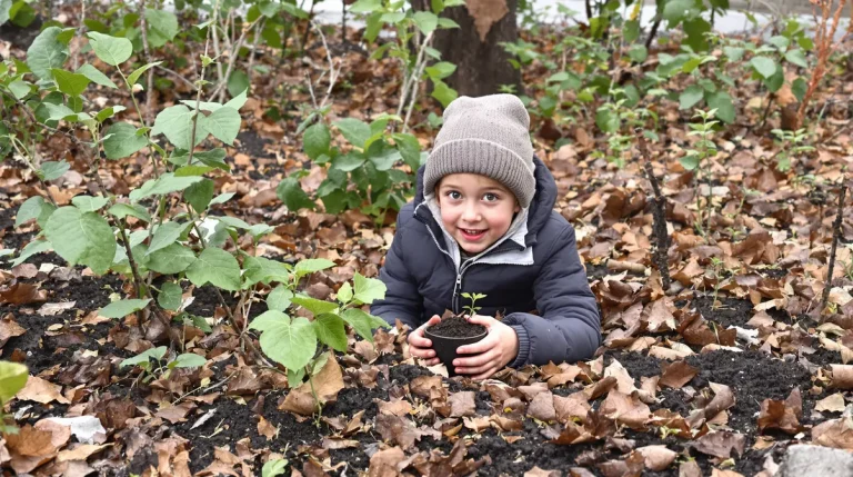 Ces 7 plantes qu'on oublie chaque hiver mais qui peuvent nourrir toute une famille gratuitement au printemps